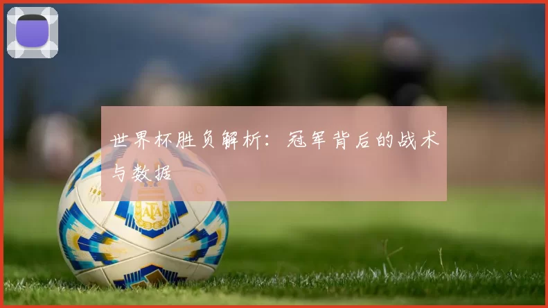 世界杯胜负解析：冠军背后的战术与数据