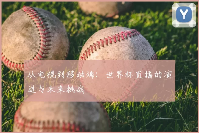 从电视到移动端：世界杯直播的演进与未来挑战