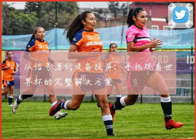 从信号源到设备投屏:手机观看世界杯的完整解决方案