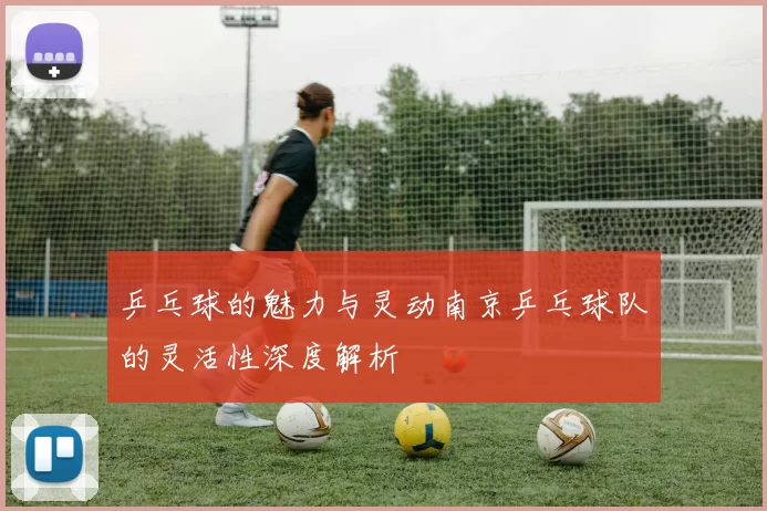 乒乓球的魅力与灵动南京乒乓球队的灵活性深度解析