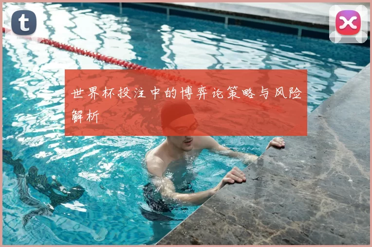 世界杯投注中的博弈论策略与风险解析