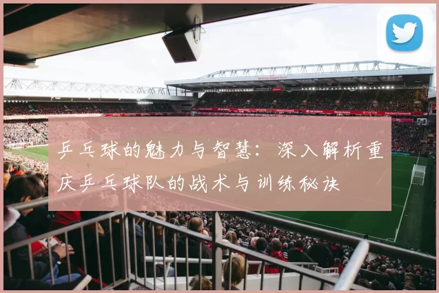 乒乓球的魅力与智慧：深入解析重庆乒乓球队的战术与训练秘诀