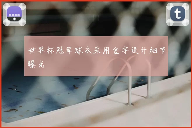 世界杯冠军球衣采用金字设计细节曝光
