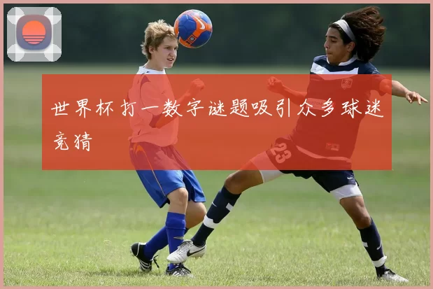 世界杯打一数字谜题吸引众多球迷竞猜