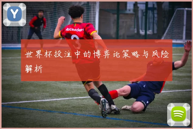 世界杯投注中的博弈论策略与风险解析