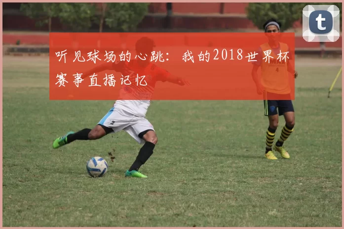 听见球场的心跳：我的2018世界杯赛事直播记忆
