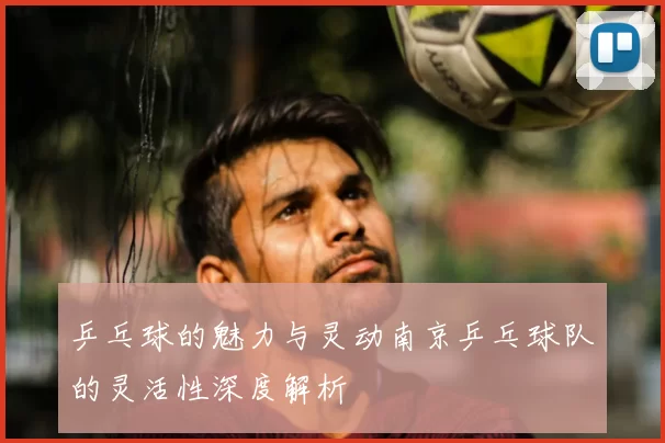 乒乓球的魅力与灵动南京乒乓球队的灵活性深度解析
