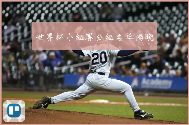 世界杯小组赛分组名单揭晓