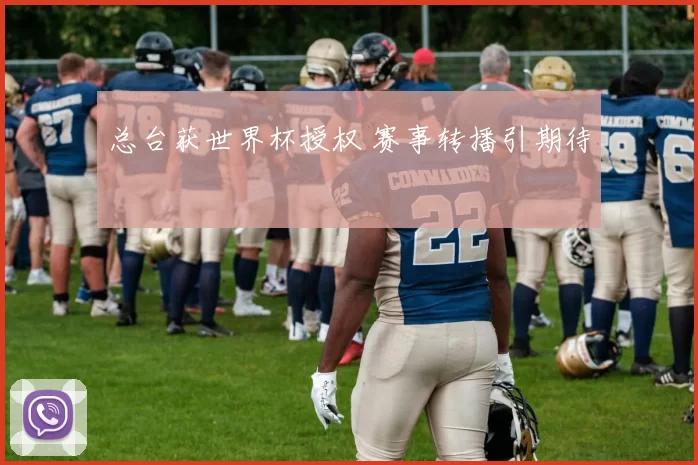总台获世界杯授权 赛事转播引期待