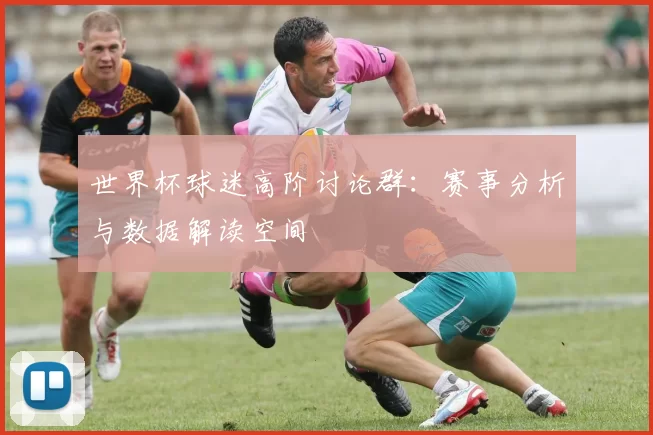 世界杯球迷高阶讨论群：赛事分析与数据解读空间