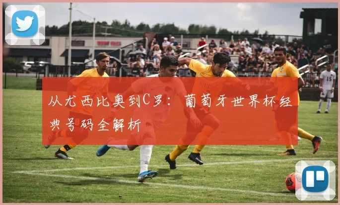 从尤西比奥到C罗:葡萄牙世界杯经典号码全解析