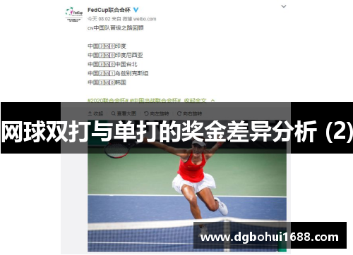 网球双打与单打的奖金差异分析 (2)