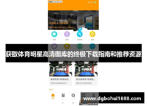 获取体育明星高清图库的终极下载指南和推荐资源